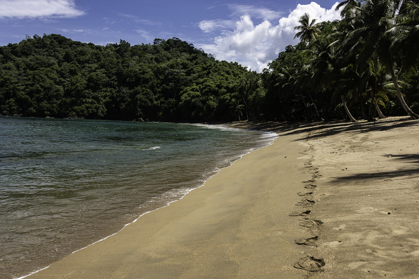 resa till Tobago, Tobagos stränder, Englishmans Bay Beach
